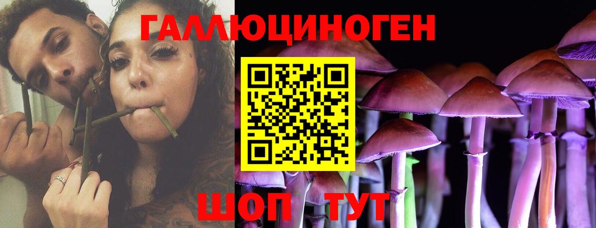 Псилоцибиновые грибы Psilocybe  Вход с VPN  Лангепас 